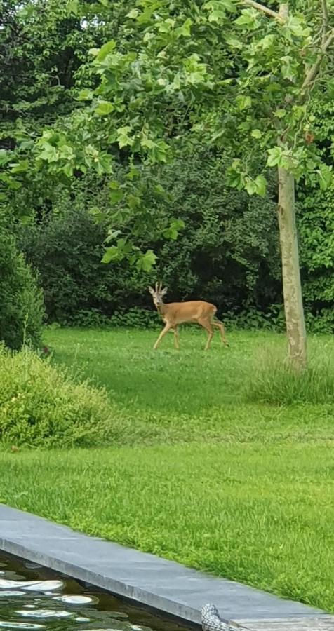 De Appelhoeve Terschuur Kültér fotó