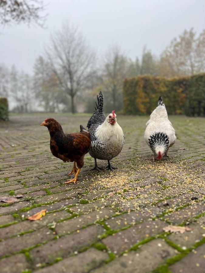 De Appelhoeve Terschuur Kültér fotó